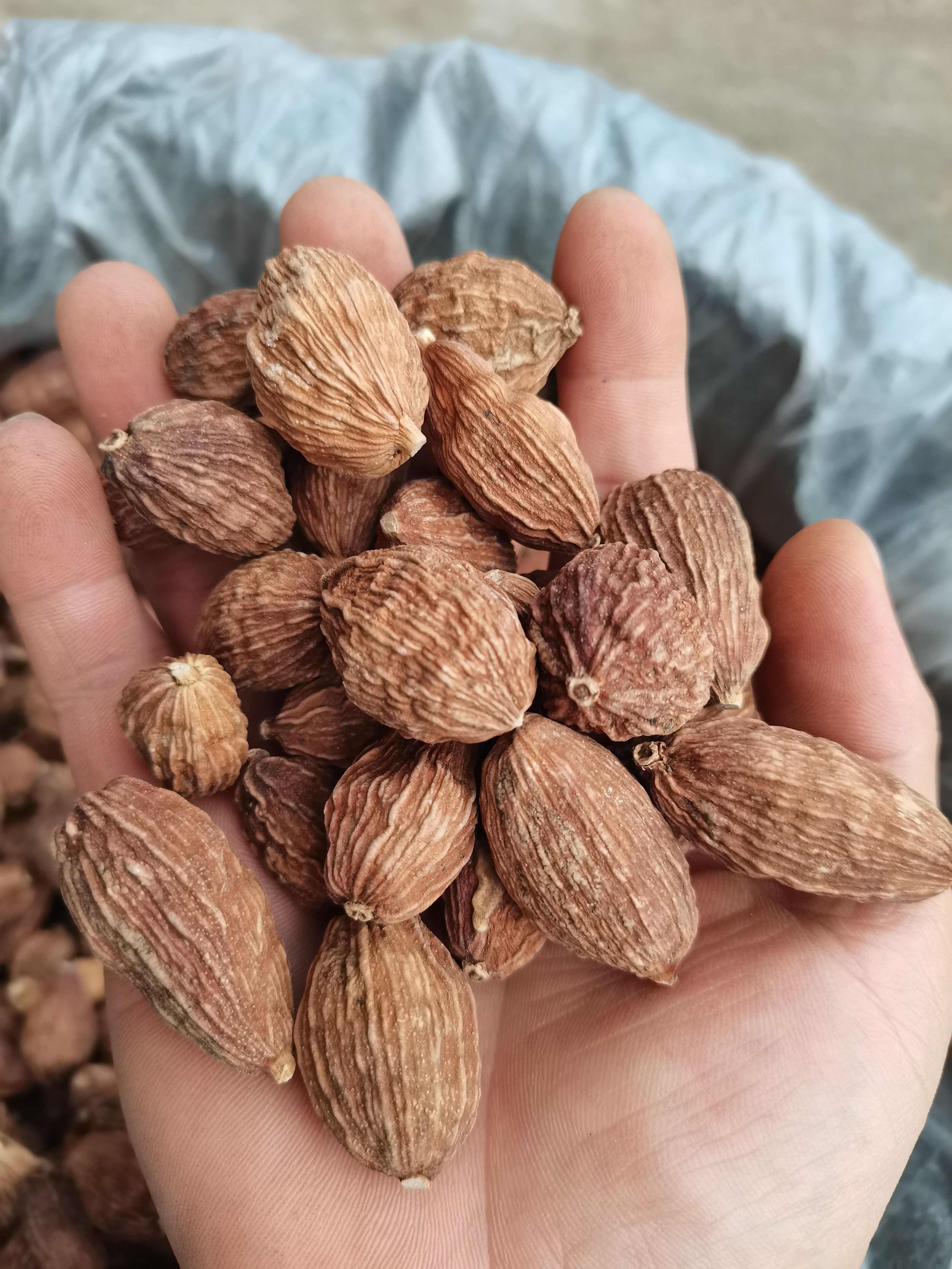昆明草果/云南草果/精选好货/ 批发兼零售，量大可商议，全国包邮