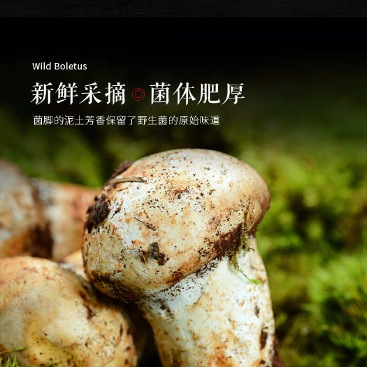 洱源县老人头菌干货颜色白品质好香味浓郁价格实惠野生菌干货老人头菌