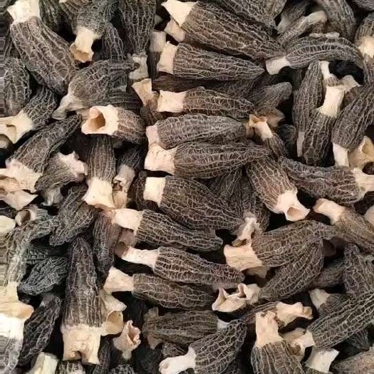 金堂县羊肚菌500g干货云南原产地土特产菌菇干货伴手礼羊肚菌菌汤包