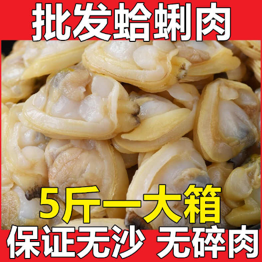 东港市蛤蜊肉冷冻蛤蜊贝壳肉花蛤肉杂色蛤肉花蛤肉花蚬子肉沙蚬子肉