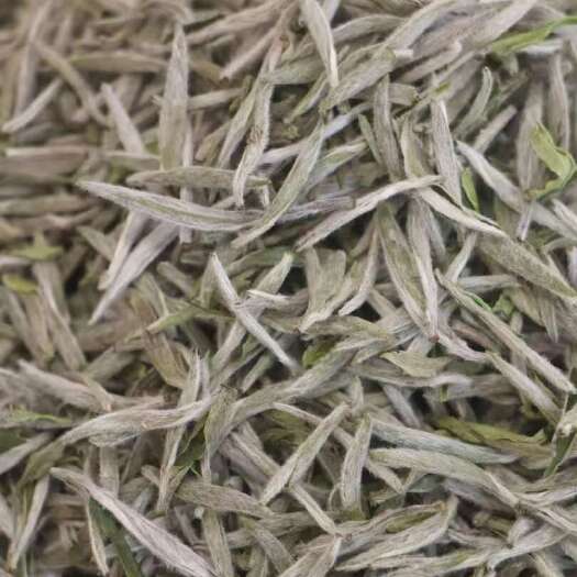 福鼎白茶厂家，2025年老树白毫银针