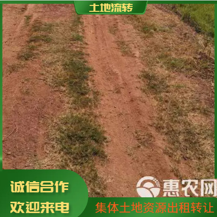 衡阳湖南衡阳地区山地 旱地 水田村集体资源出租