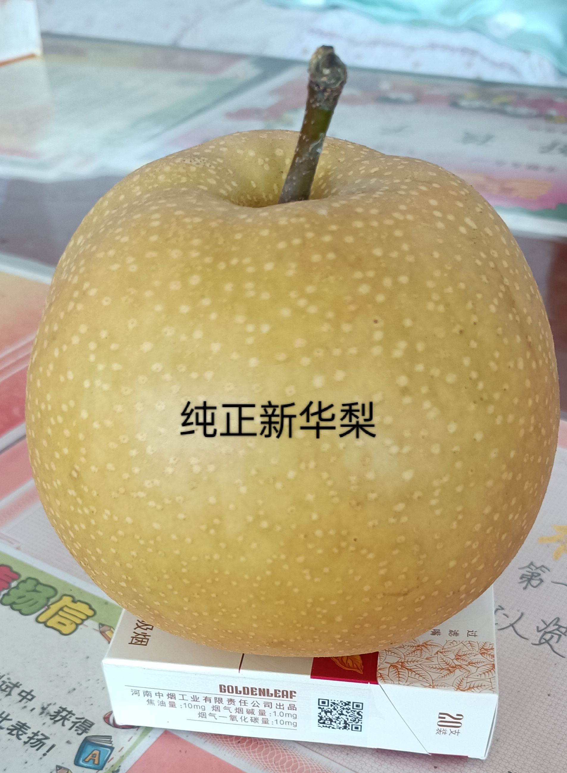 新华梨树苗
