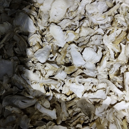 思茅大球盖菇 干货 人工种植 未开伞