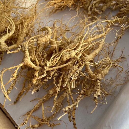 播籽 纯林下种植 100克包邮林下籽山参残参 煲汤打粉