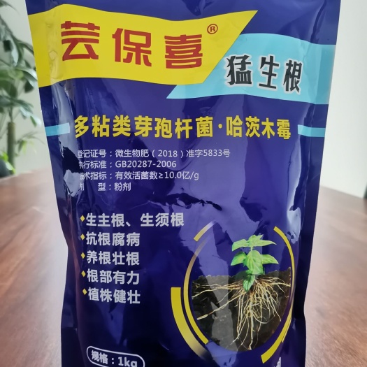 荥阳市生根剂猛生根多粘类芽孢杆菌+哈茨木霉菌 生根快抗根腐主根粗壮