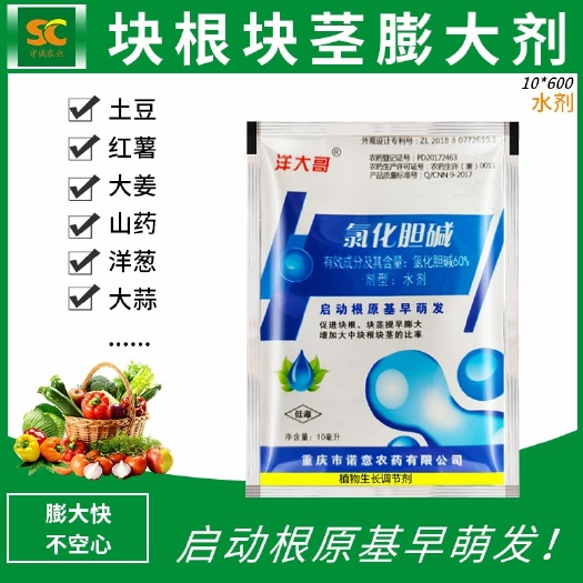郑州氯胆萘乙酸  60%氯化胆碱土豆地瓜花生姜山药芋头大蒜药材地