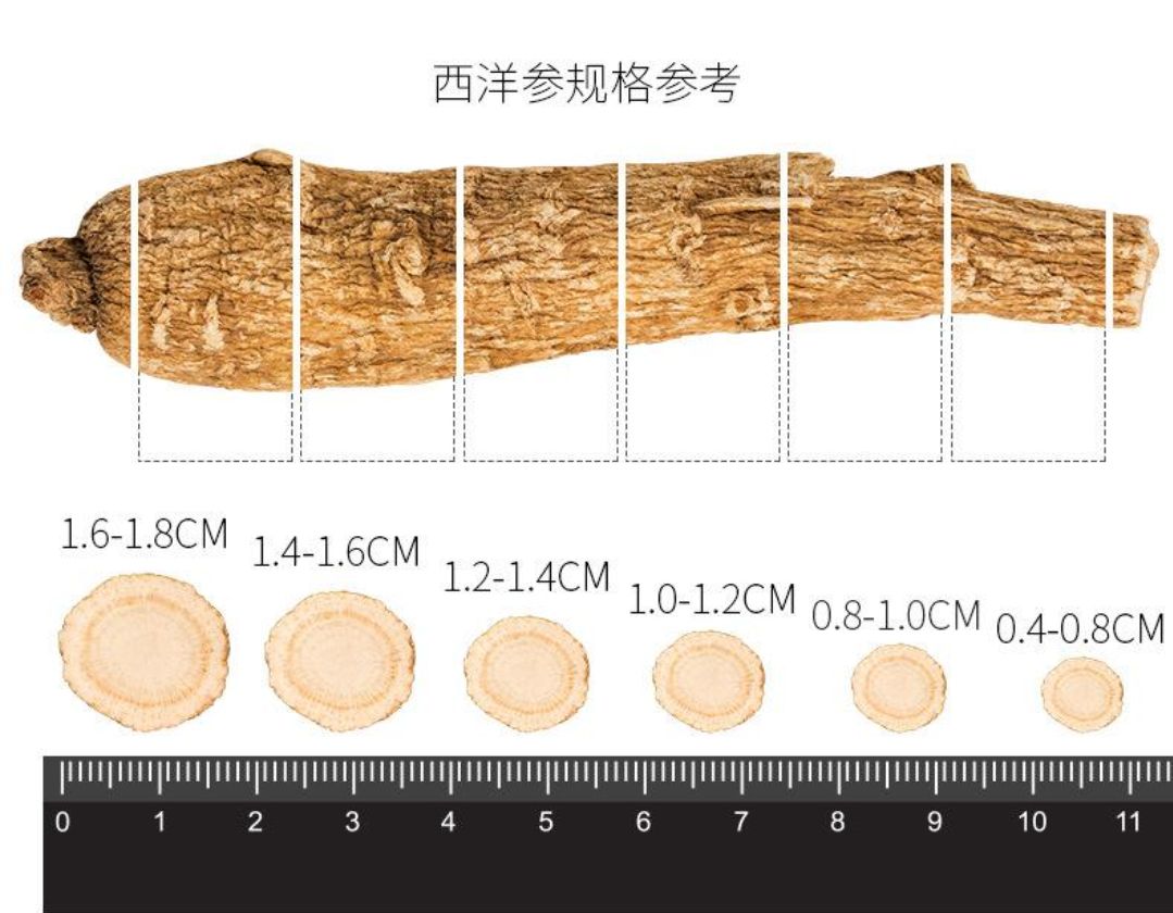 长白山 纯软支【西洋参片】花旗参片 规格齐全