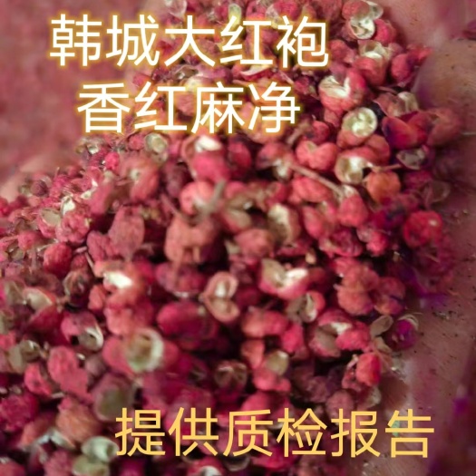 韩城市【包邮】新货韩城大红袍花椒香红麻净无籽杆色选香麻红产地直供