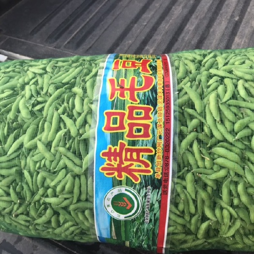 毛豆  精品辽豆48寒豆