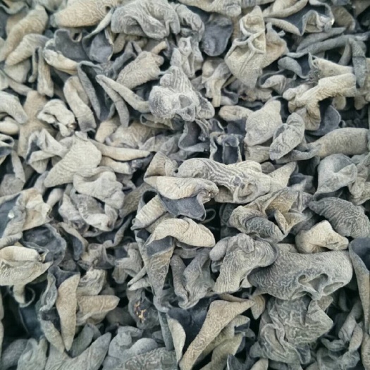 海林市东北特产黑木耳小碗耳500g干货散装秋木耳批发肉厚无根干木耳